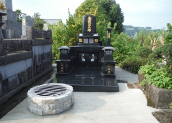 DSCF2154.JPG